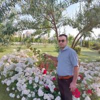 عبدالهی پروفایل