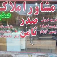 سیدمحمدرضاتوکلی پروفایل