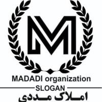 امین مددی پروفایل