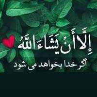 نبی لو پروفایل
