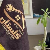 محسن مهدوی نیا پروفایل