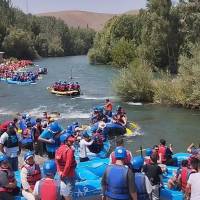 مهدی پروفایل