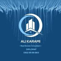 علی کرمی پروفایل