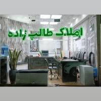 داوود نباتیان پروفایل