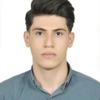 محمدمهدی صادقی  پروفایل