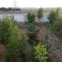 مهدی خیامی امین  پروفایل