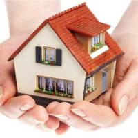 خانم کریمی پروفایل