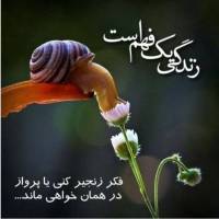 کارشناس امورملکی آقای شهرابی پروفایل