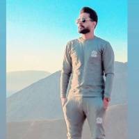 علی کرمی  پروفایل