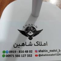 شاهین مهری پروفایل