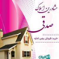 محمدرضا صدقی  پروفایل