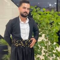 سینا دلبری پروفایل