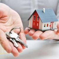 ابراهیم گودرزی پروفایل