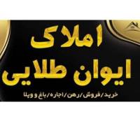 حسین رضازاده پروفایل