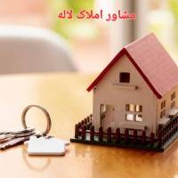 حمیدرضا نادی پروفایل