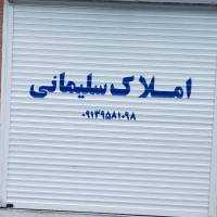 علی سلیمانی پروفایل