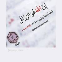 محمود بلوچی پروفایل