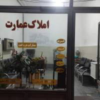 مهدی علیپور پروفایل