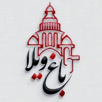 امیرحسین نوشادی  پروفایل