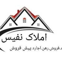 محمد موسوی پروفایل
