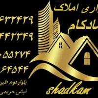 مشاور امور ملکی مجتبی شادکام پروفایل