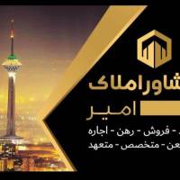 امیرشجاعی پروفایل