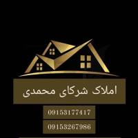 محمدی پروفایل