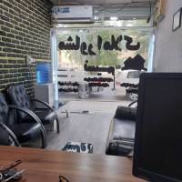 مهدی فولادی پروفایل