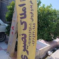 مهدی هنگامی  پروفایل
