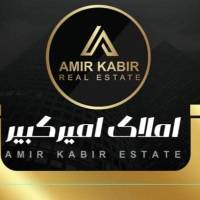 امیرعلی کاشانی پروفایل