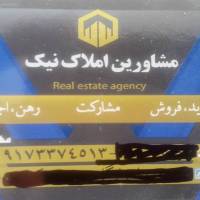علی نامداری پروفایل