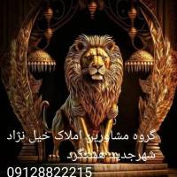 وحید خیل نژاد پروفایل