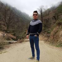 محمدرضا علامه پروفایل