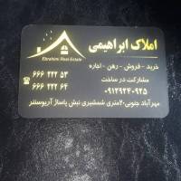سید مبین امیرکیایی پروفایل