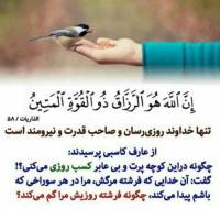 فرهادی املاک رافائل پروفایل