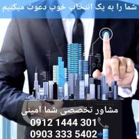 امینی پروفایل