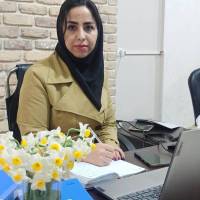 مفیدی پروفایل