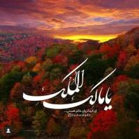 طاهـــر عبدالملکی پروفایل