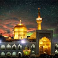 سلطان پروفایل
