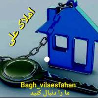 یزدانی پروفایل