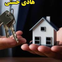 هادی حسنی پروفایل