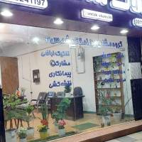 نوذر شمس پروفایل