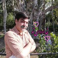 رضا اسدی پروفایل