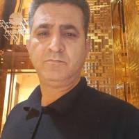 حمید حامی پروفایل