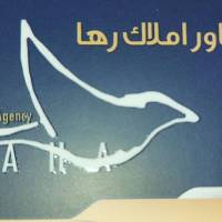 آقای نظیفی پروفایل