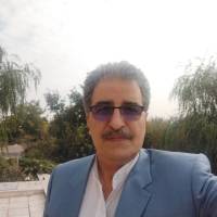 شهریار نیری پروفایل