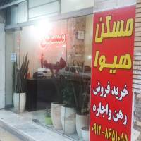 خانم احمدی پروفایل