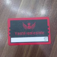 رامین معظمی گودرزی پروفایل