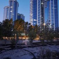 رضا حاجی عباسی پروفایل