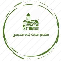 شاه محمدی پروفایل